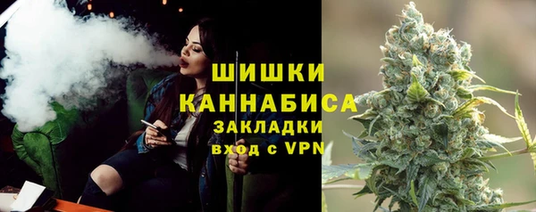 mdpv Инсар