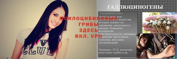 mdpv Инта