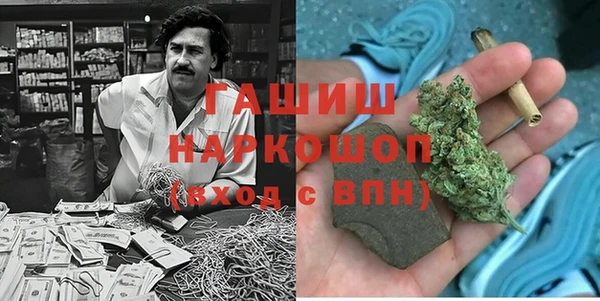 mdpv Инсар