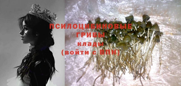 mdpv Инсар