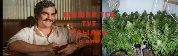 apvp Каменногорск