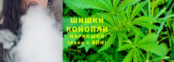 mdpv Инта