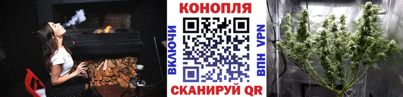 Купить закладки  Заринск  Бошки марихуана тримм 